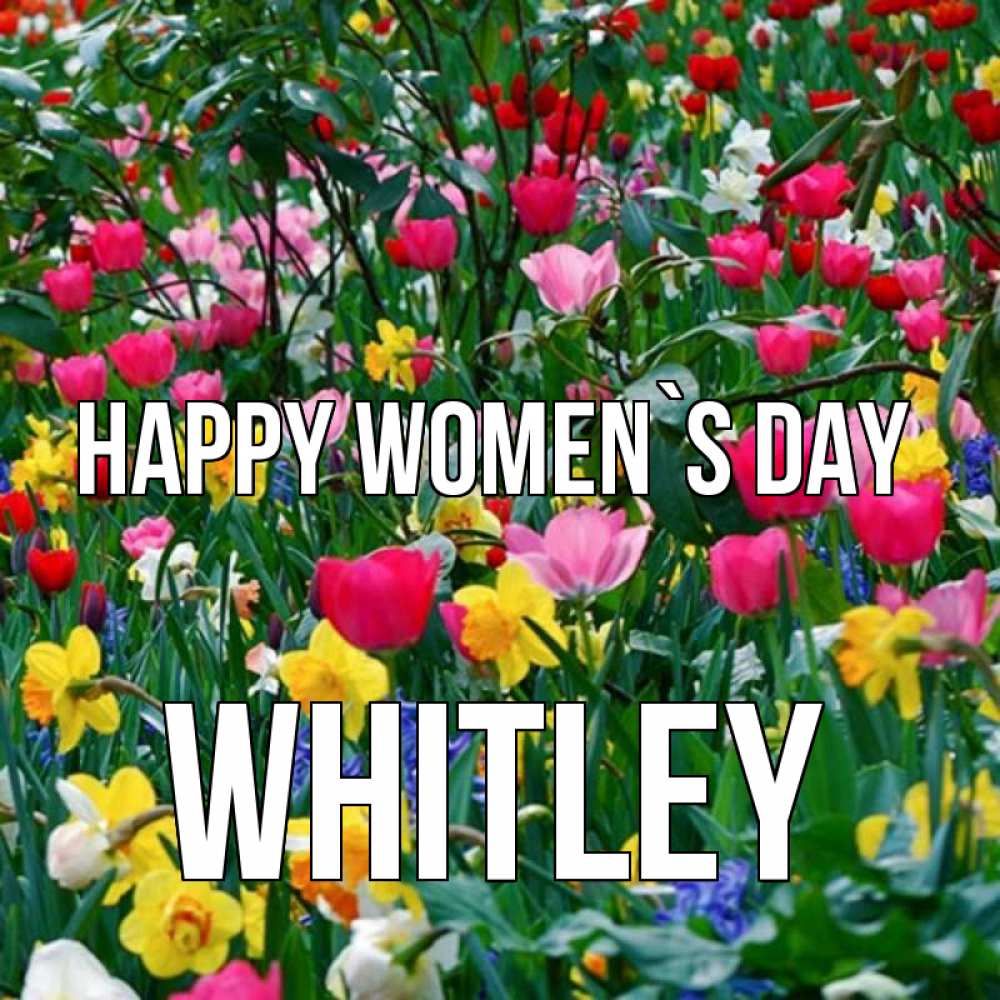 Greetings card с именем, Whitley happy women`s day с международным женским днем поздравления для женщины Greetings with text for free download 